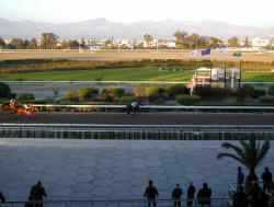 During 1997 the Racecourse and its buildings underwent an extensive program of renovation and upgrading. It is a real pleasure to spend a day there enjoying the glorious spectacle of racing in picturesque surroundings